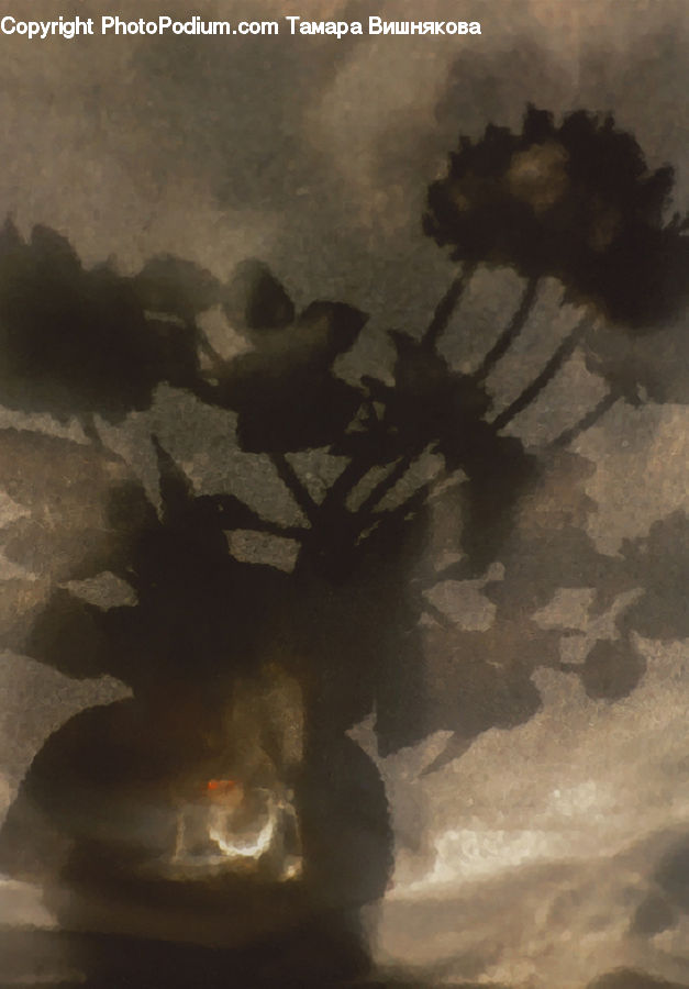 Silhouette, Soil, Ground