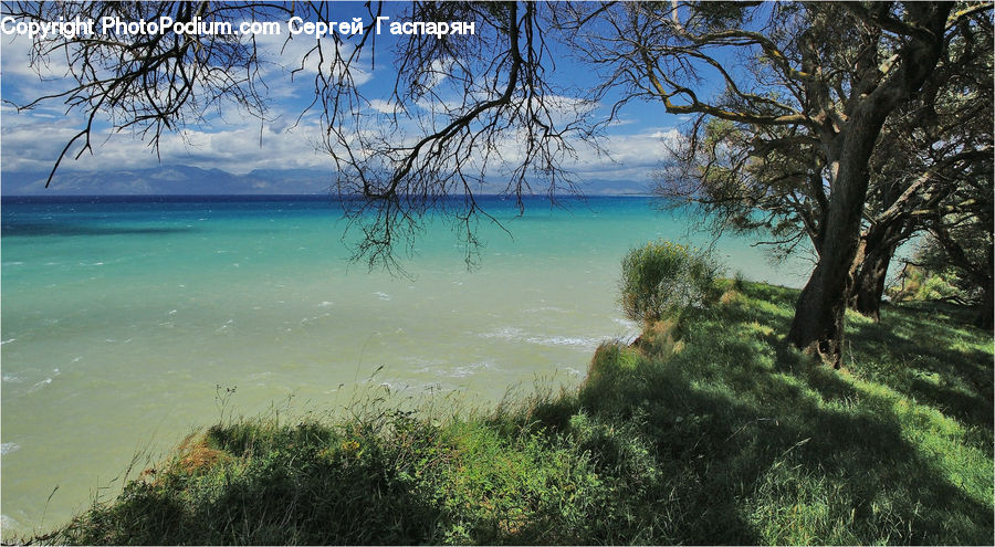 Beach, Coast, Outdoors, Sea, Water, Landscape, Nature