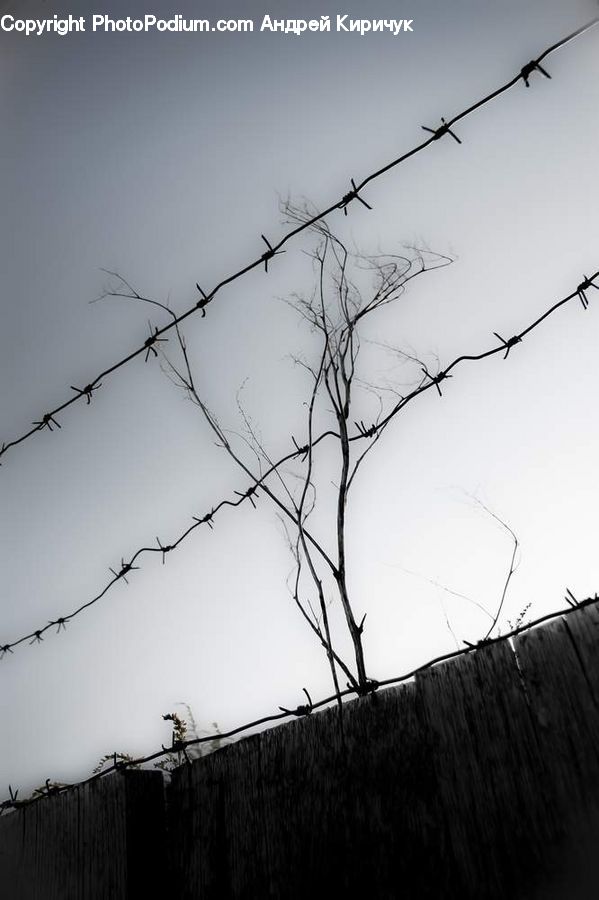 Wire