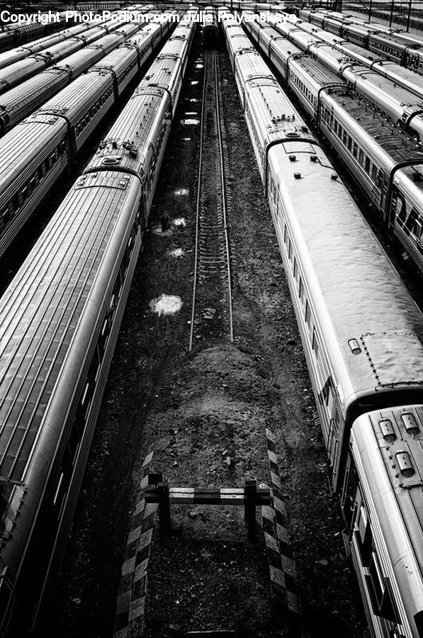 Train, Vehicle, Rail, Train Track, City, Downtown, Urban