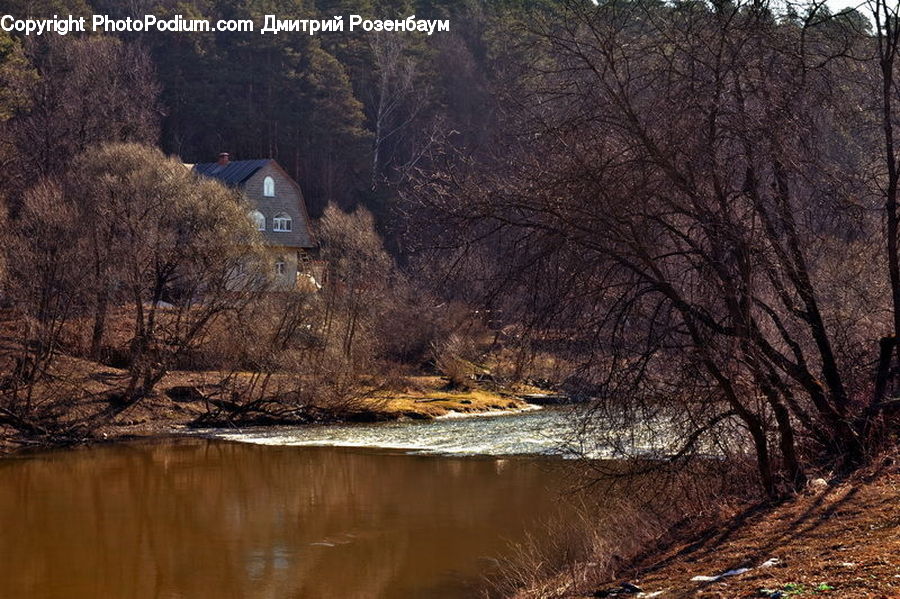 Building, Cottage, Housing, Forest, Vegetation, Outdoors, River