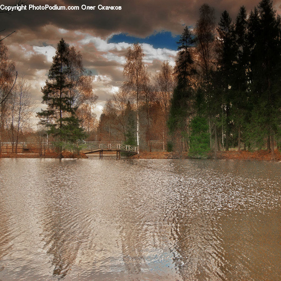 Flood, Dirt Road, Gravel, Road, Landscape, Nature, Scenery