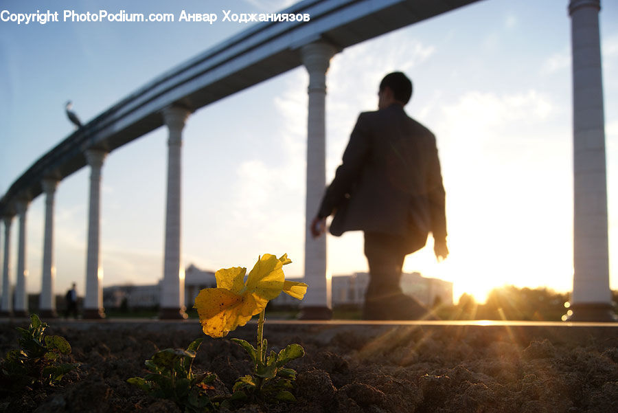 People, Person, Human, Plant, Potted Plant, Oilfield, Soil