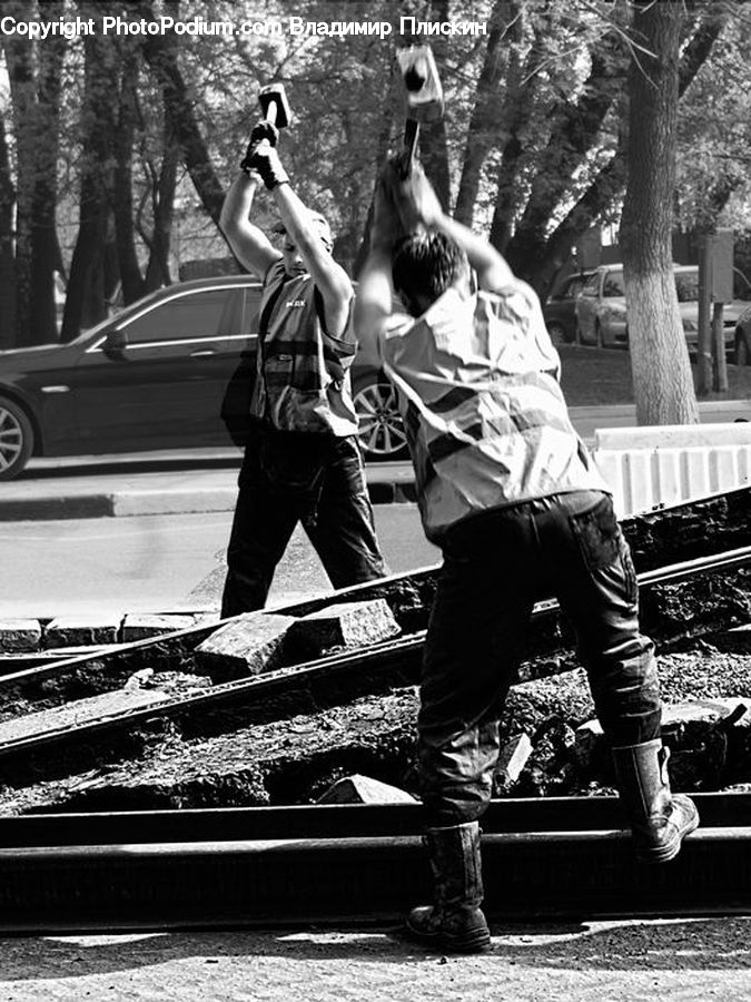 People, Person, Human, Automobile, Car, Vehicle, Bench