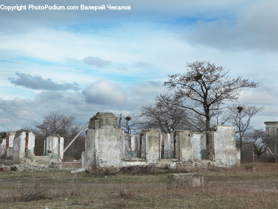 Ruins, Tomb, Tombstone, Plant, Tree, Building, Architecture