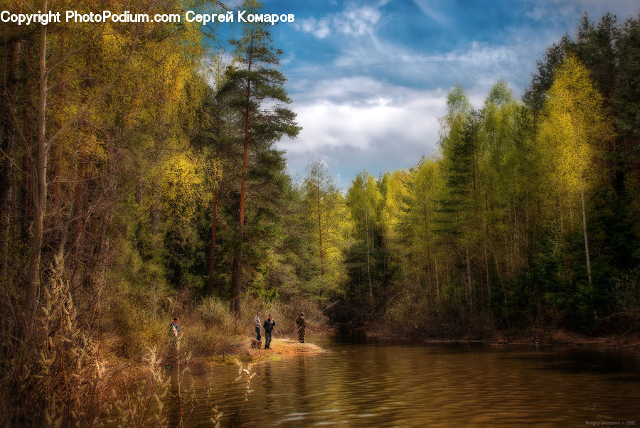 Outdoors, River, Water, Dirt Road, Gravel, Road, Forest