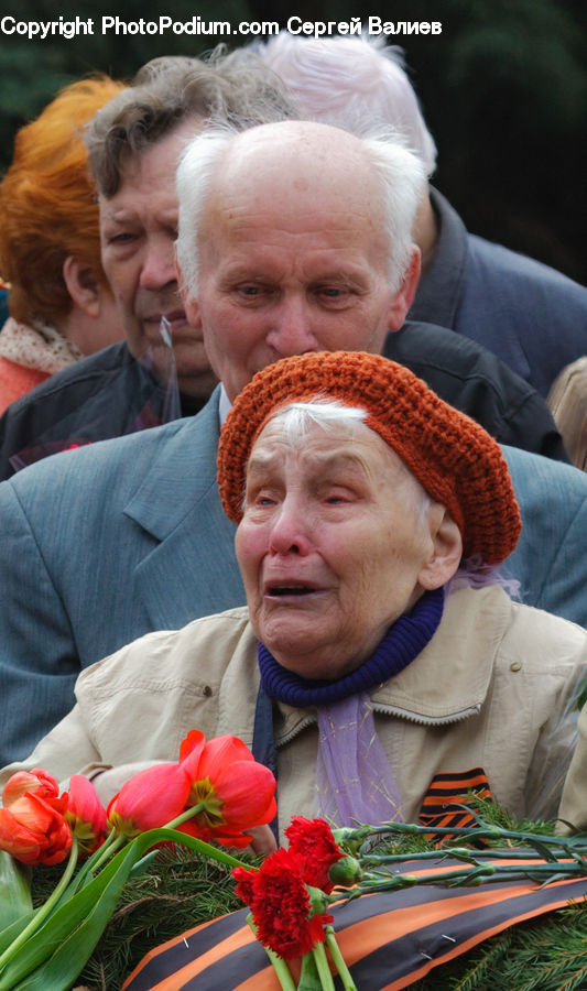 People, Person, Human, Plant, Potted Plant, Flower, Flower Arrangement