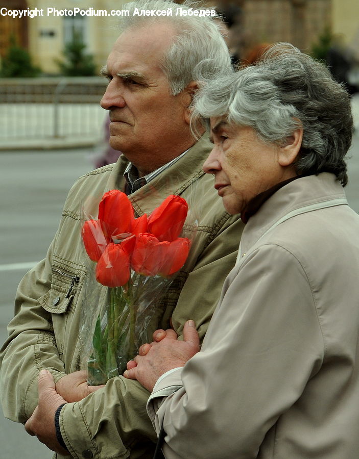 People, Person, Human, Plant, Potted Plant, Flower, Flower Arrangement