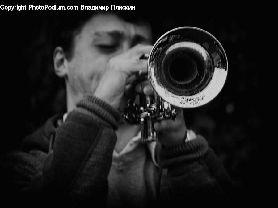 People, Person, Human, Brass Section, Horn, Musical Instrument, Trumpet