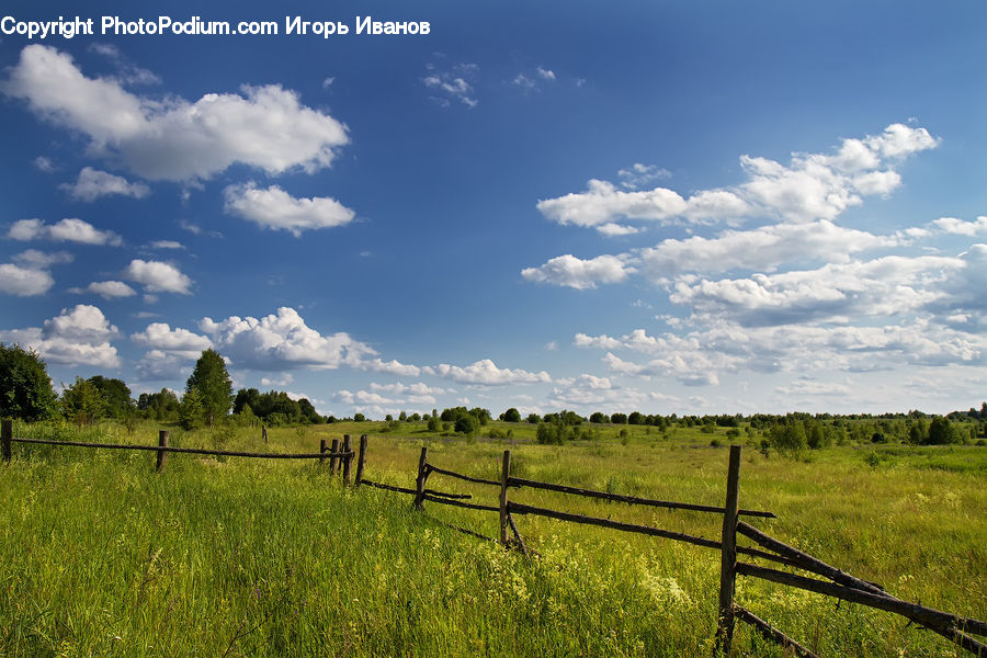 Field, Grass, Grassland, Land, Outdoors, Countryside, Meadow