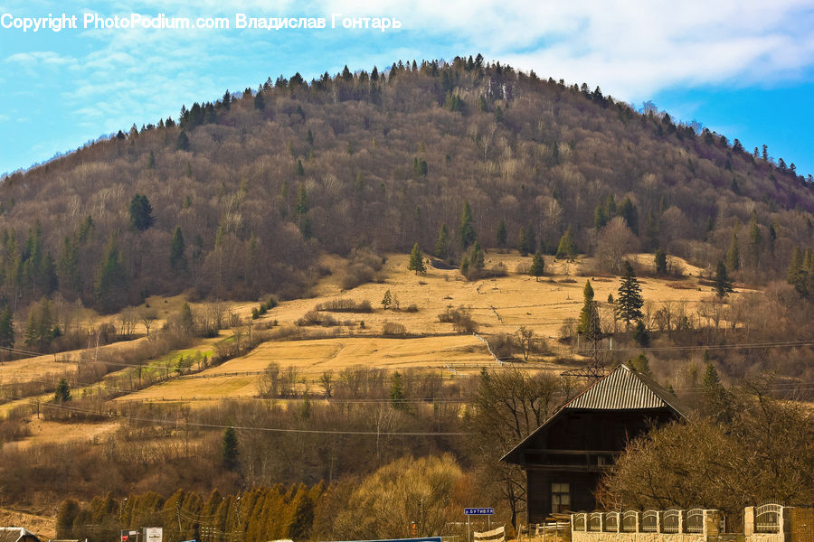 Countryside, Hill, Outdoors, Forest, Vegetation, Crest, Mountain