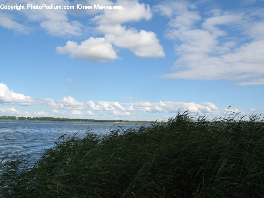 Cloud, Cumulus, Sky, Landscape, Nature, Scenery, Azure Sky