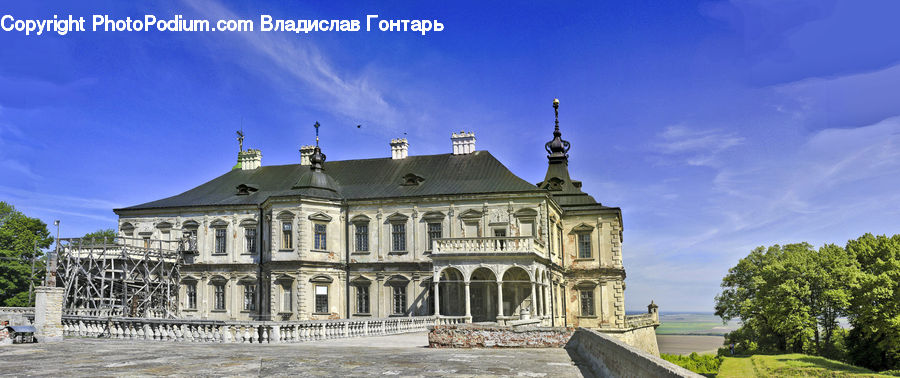 Building, House, Housing, Oak, Tree, Wood, Architecture
