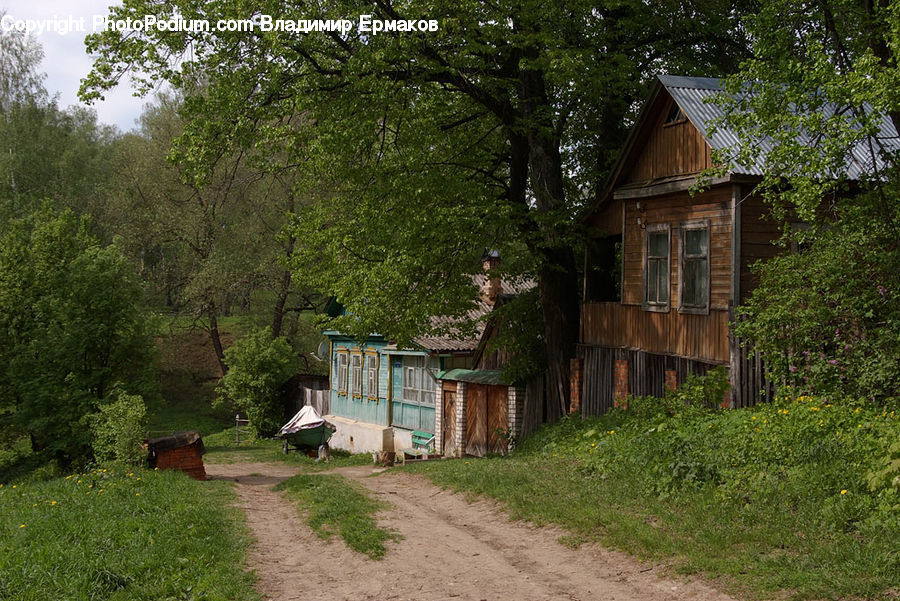 Building, Cottage, Housing, Cabin, Shelter, Hut, Plant