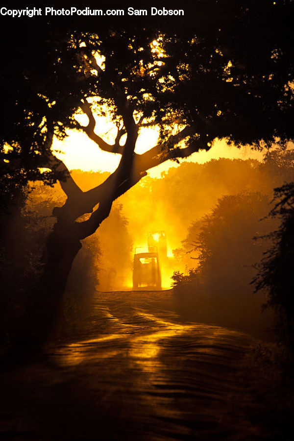 Dawn, Dusk, Sky, Sunrise, Sunset, Dirt Road, Gravel