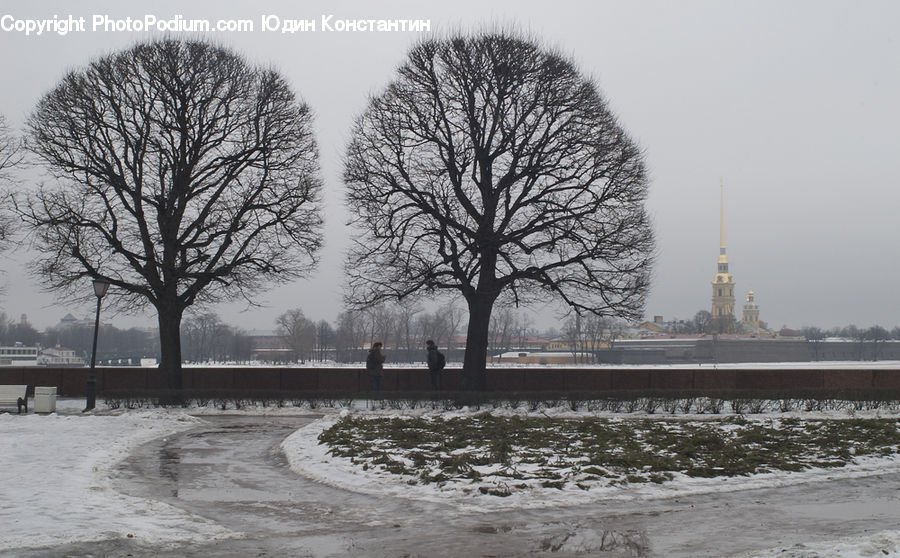 Frost, Ice, Outdoors, Snow, City, Downtown, Urban