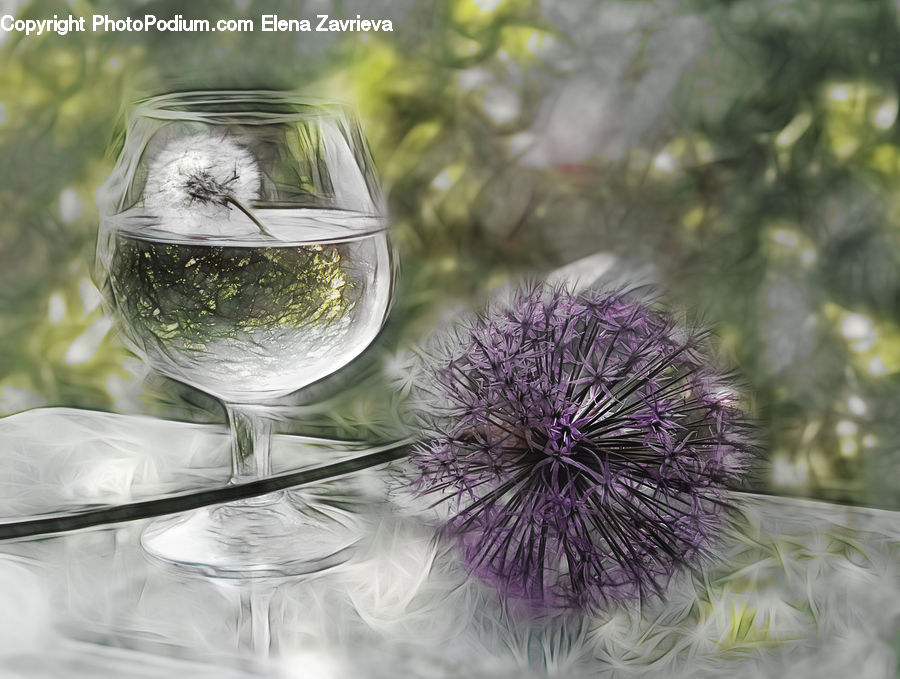 Glass, Goblet, Beverage, Wine, Wine Glass, Blossom, Flower