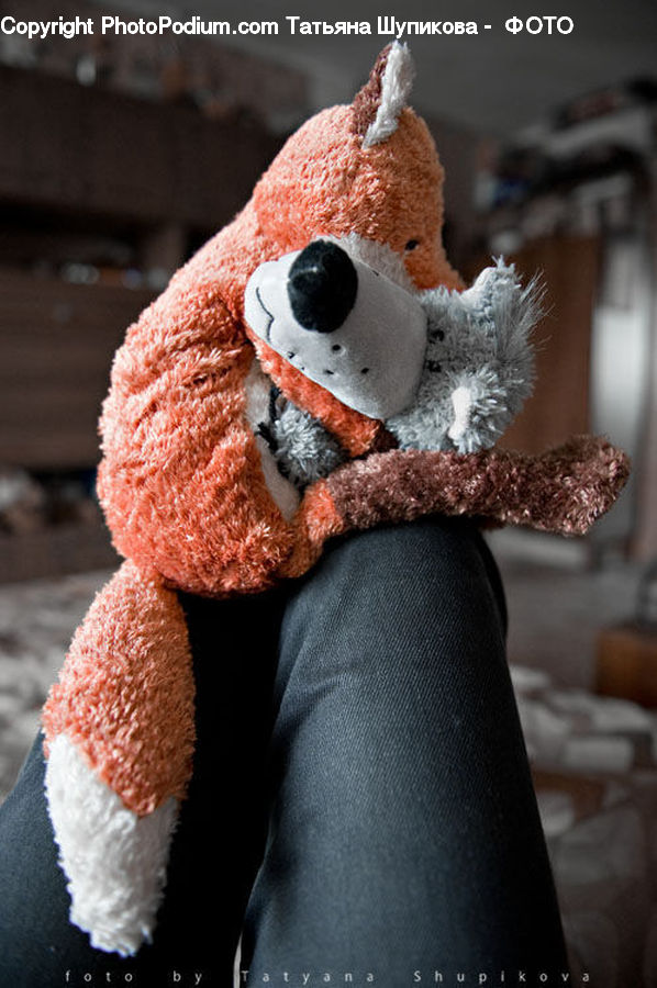 Teddy Bear, Toy, Cake, Dessert, Food, Clothing, Scarf
