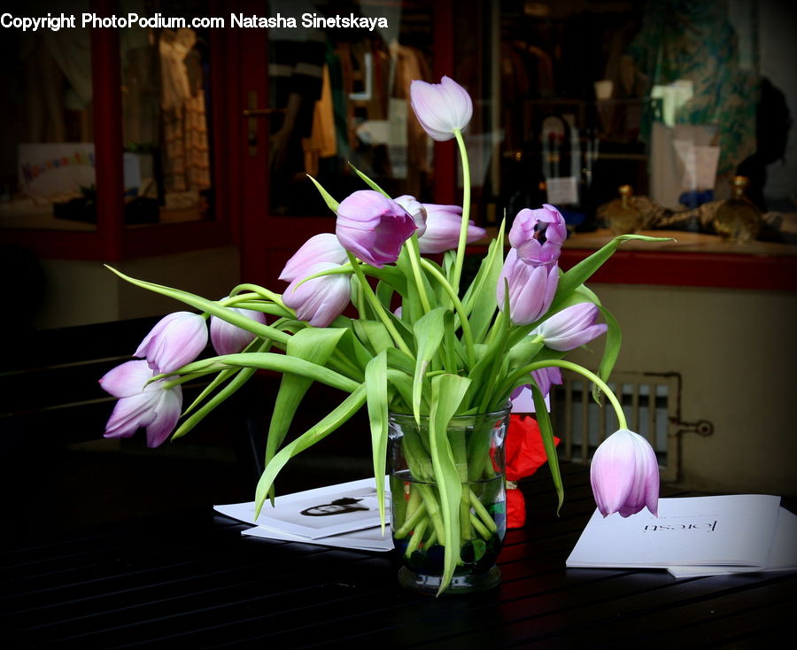 Plant, Potted Plant, Floral Design, Flower, Flower Arrangement, Flower Bouquet, Ikebana