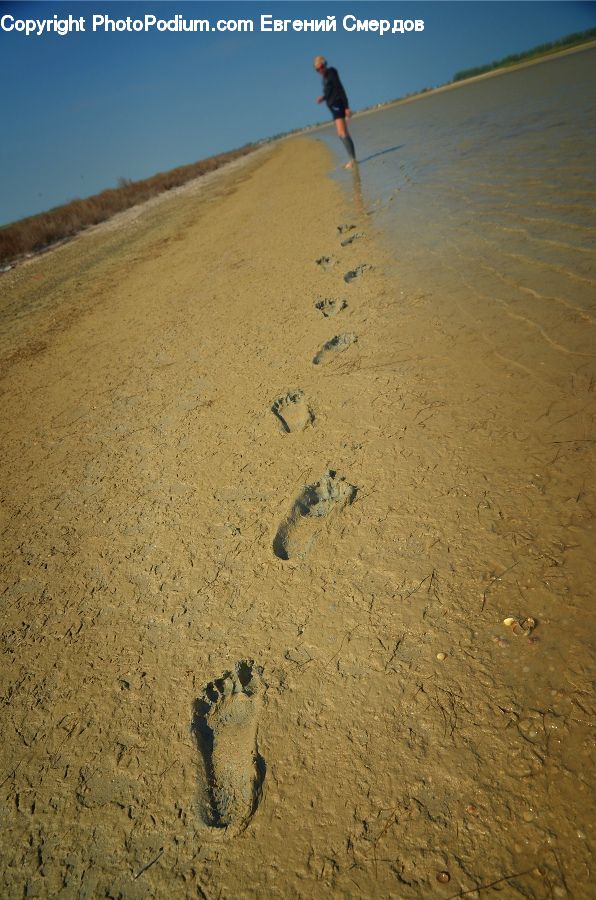 Footprint, Outdoors, Sand, Soil