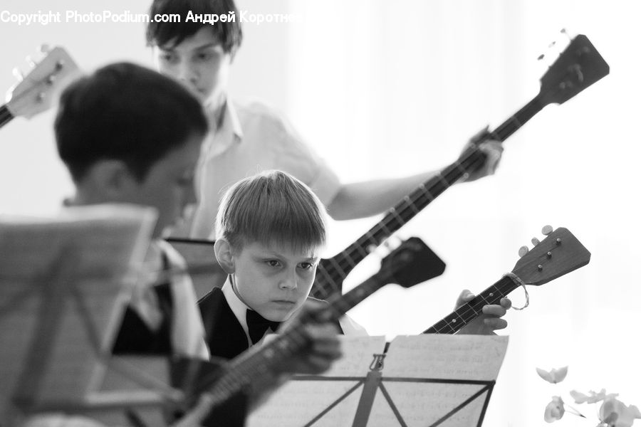 People, Person, Human, Guitar, Guitarist, Musical Instrument, Musician