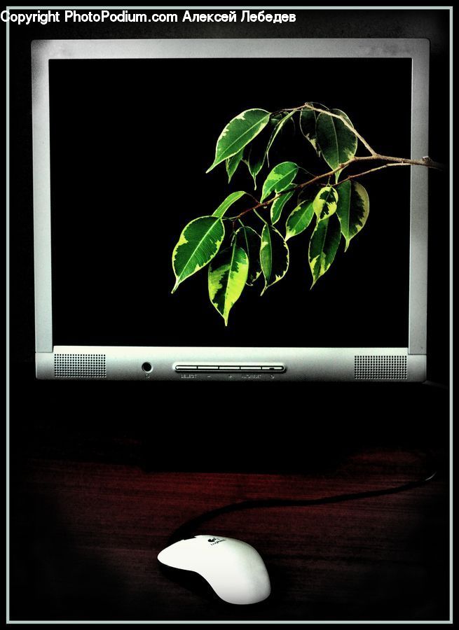 Electronics, Mouse, Monitor, Screen, LCD Screen