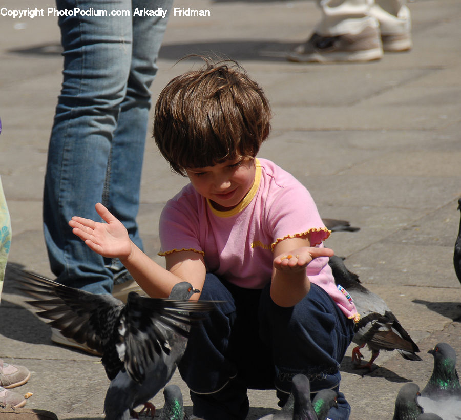 People, Person, Human, Bird, Pigeon, Leisure Activities, Footwear