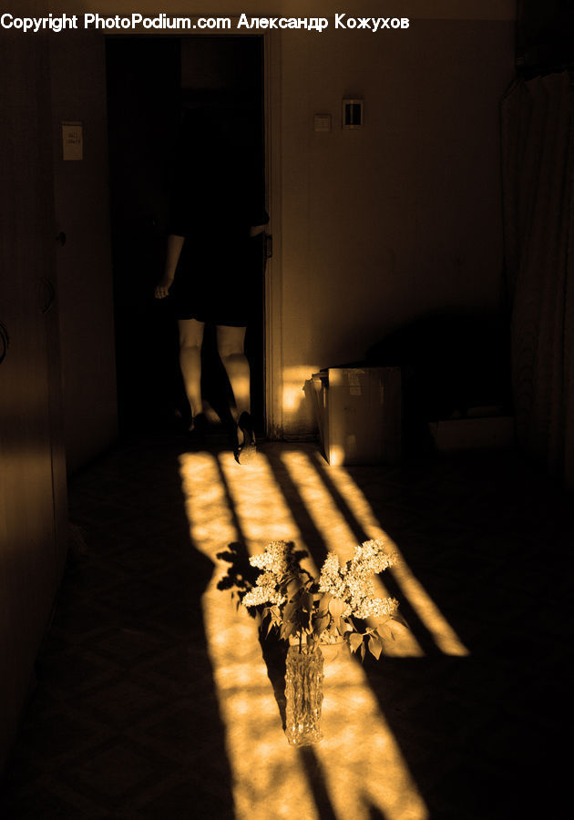 Dining Room, Indoors, Room, Footwear, Shoe, Interior Design