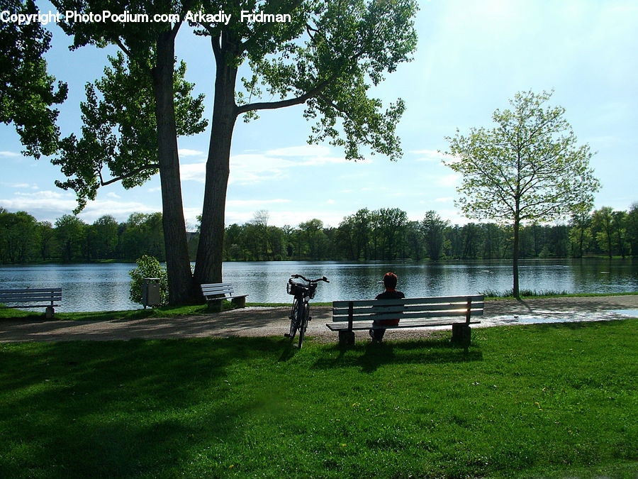 Bench, Park Bench
