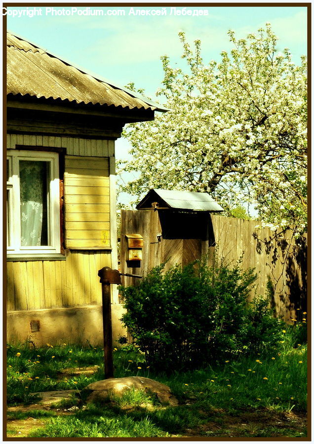 Building, Cottage, Housing, Plant, Potted Plant, Cabin, Hut