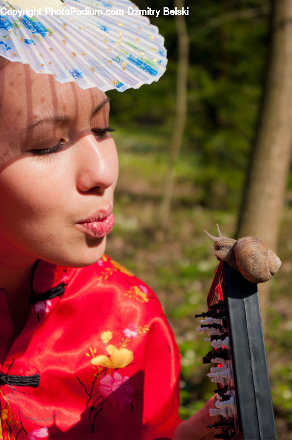 Human, People, Person, Agaric, Amanita, Fungus, Mushroom