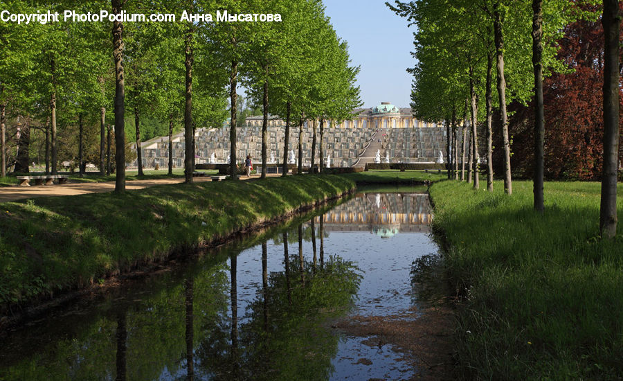 Canal, Outdoors, River, Water, Forest, Grove, Land
