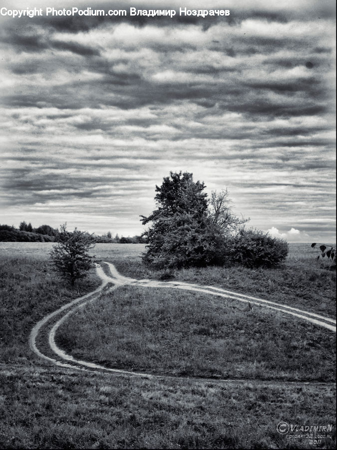 Countryside, Outdoors, Road, Path, Trail, Field, Plant
