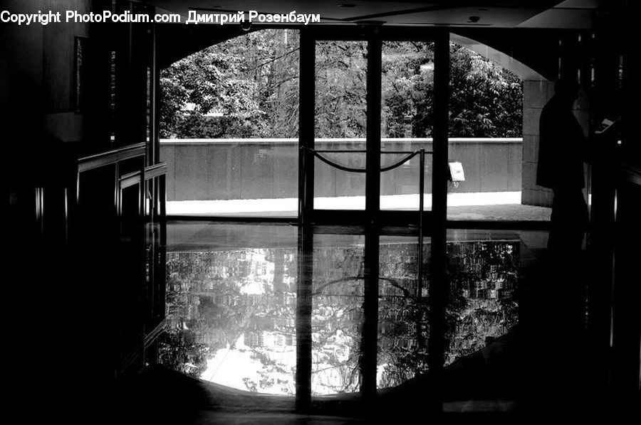 Silhouette, Lighting, Pool, Water, Plant, Tree, City