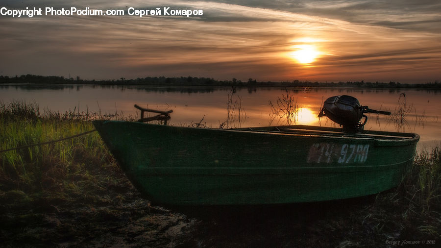 Boat, Dinghy, Rowboat, Vessel, Plant, Potted Plant, Canoe