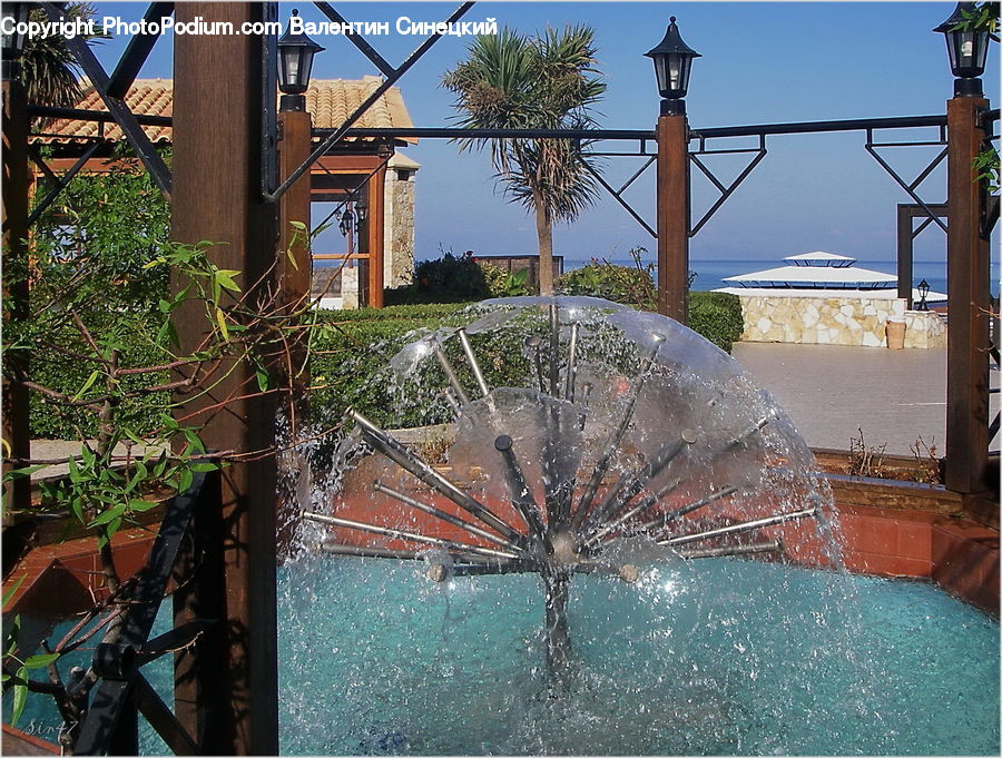 Plant, Potted Plant, Fountain, Water, Car, Vehicle, Windshield