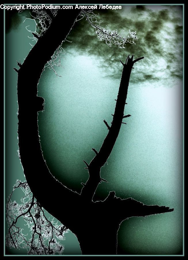 Silhouette