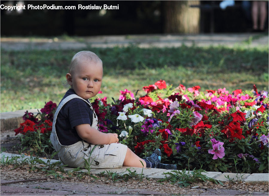 Plant, Potted Plant, People, Person, Human, Female, Girl