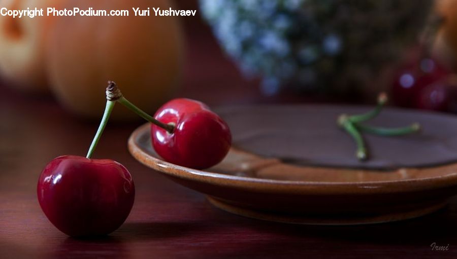 Cherry, Fruit, Blossom, Flora, Flower, Plant, Food