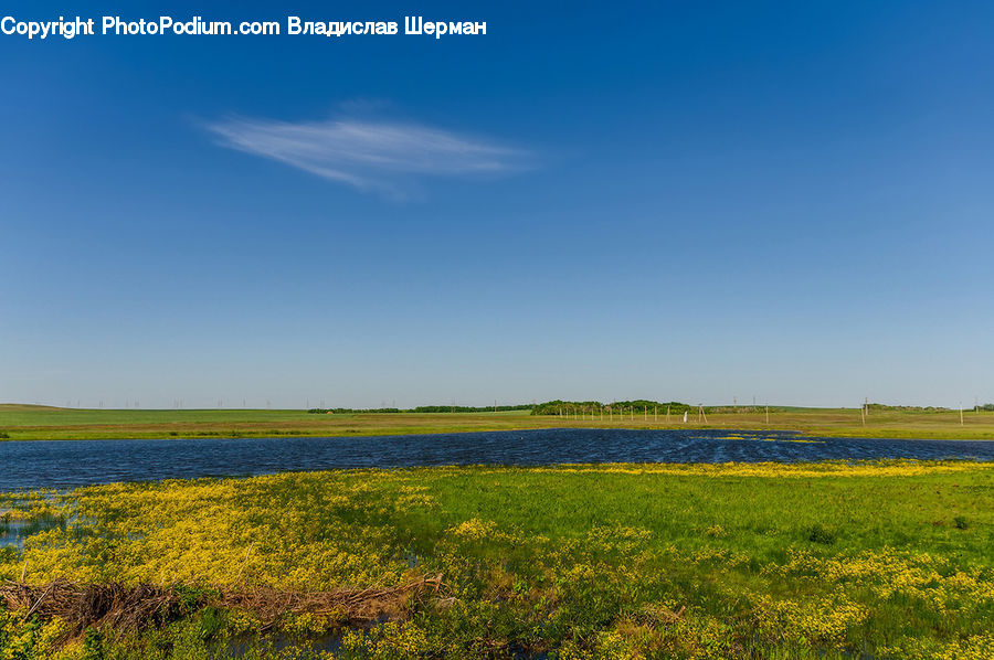 Field, Grass, Grassland, Land, Outdoors, Meadow, Pasture