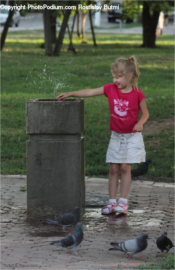 Human, People, Person, Bird, Pigeon, Dove, Female