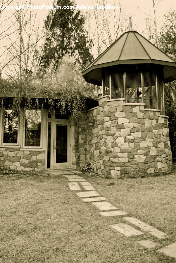 Building, Cottage, Housing, Plant, Tree, Conifer, Fir