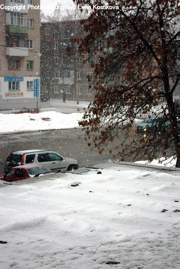 Blizzard, Outdoors, Snow, Weather, Winter, Ice, Car