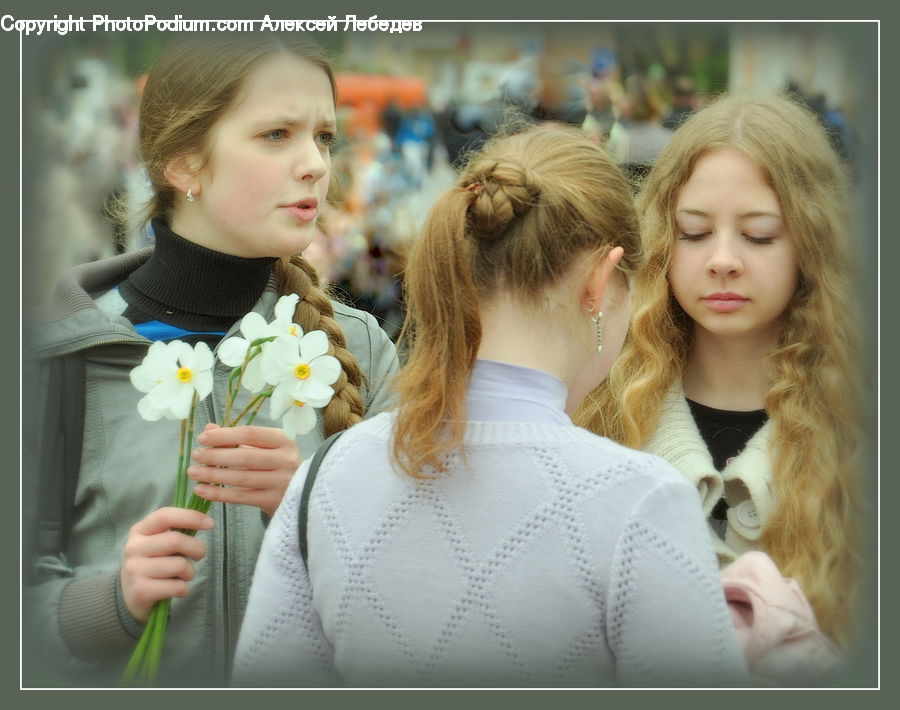 People, Person, Human, Blossom, Daffodil, Flora, Flower