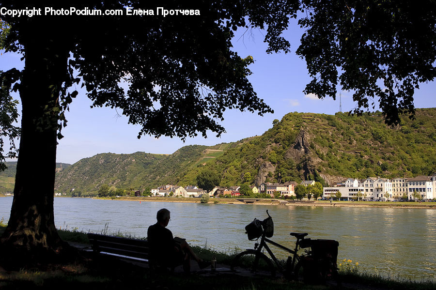 People, Person, Human, Leisure Activities, Bicycle, Bike, Vehicle