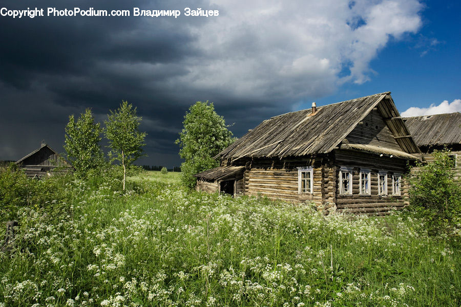 Building, Cottage, Housing, Field, Grass, Grassland, Meadow