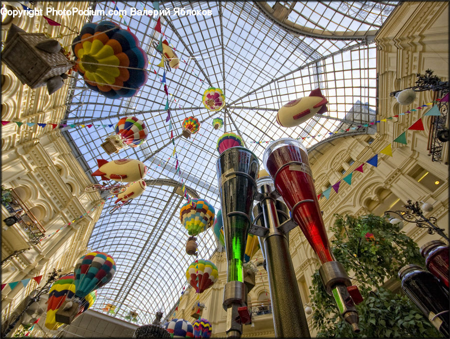 Plant, Potted Plant, Collage, Poster, Food Court, Amusement Park, Carnival