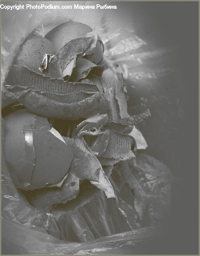 Crab, Invertebrate, Sea Life, Seafood, Flagstone, Blossom, Flora