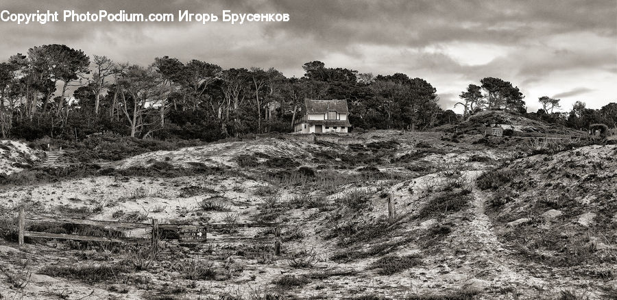 Field, Countryside, Outdoors, Soil, Rubble, Ground, Bush