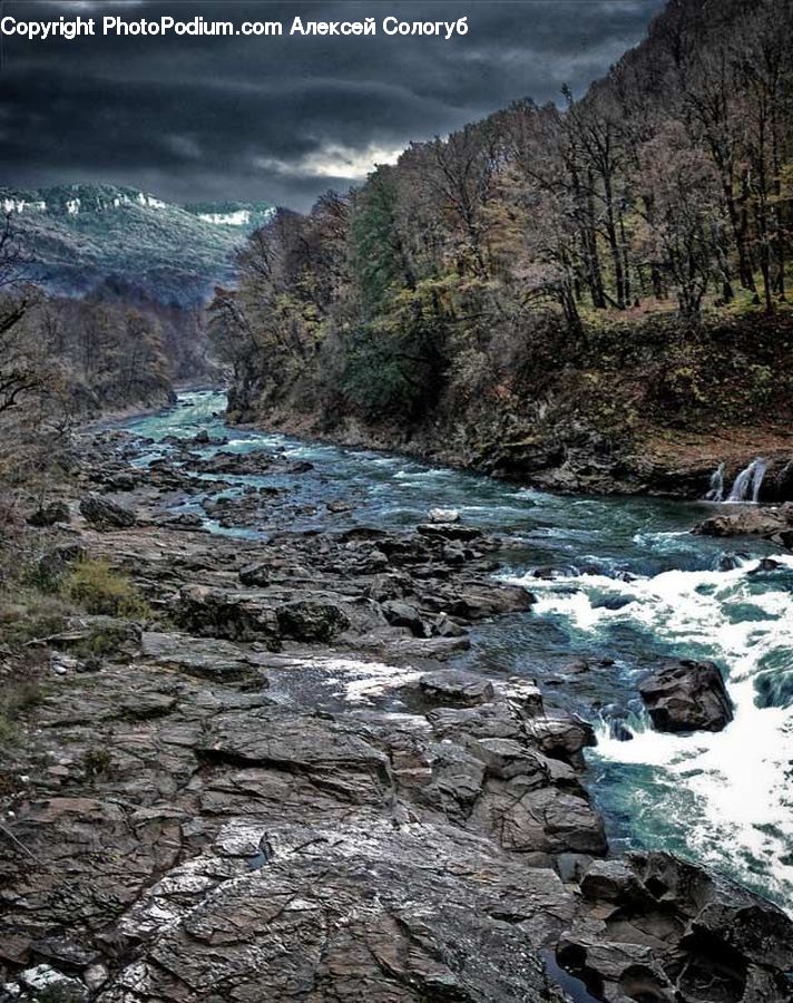 Creek, Outdoors, River, Water, Nature, Rock, Forest